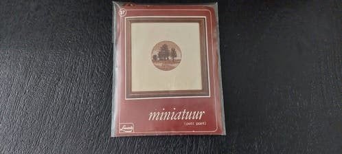MINI LANARTE BORDUURPAKKETJE + LIJSTJES voor  borduurwerk, Ophalen of Verzenden, Nieuw, Handborduren, Borduurpakket