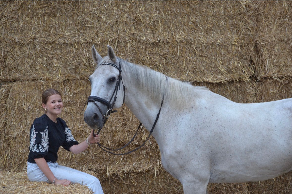 Lease paard/pony gezocht, Ophalen of Verzenden