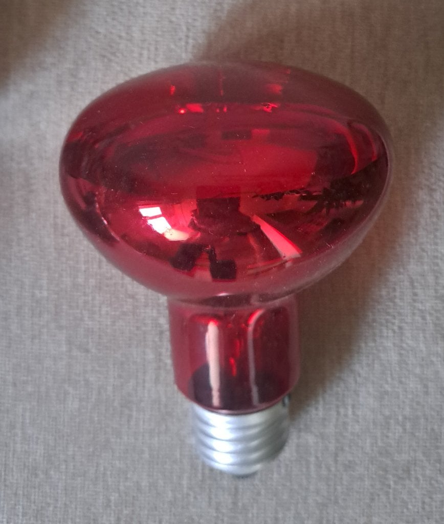 Rode lamp, Gebruikt, Gloeilamp, Overige lichtkleuren, E27 (groot)