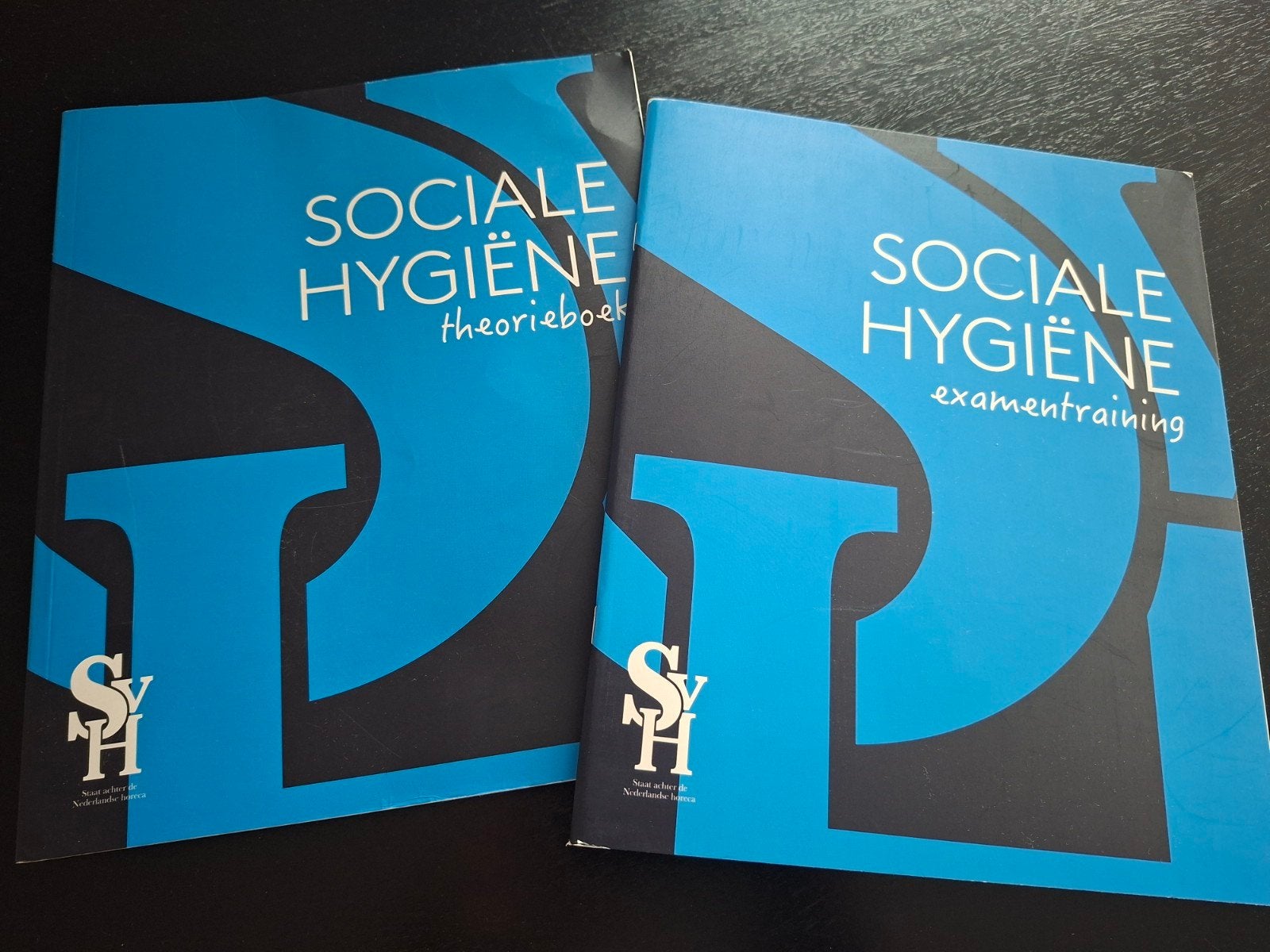 Theorieboek en examentraining sociale hygiëne, Boeken, Ophalen of Verzenden, Nieuw, Overige niveaus