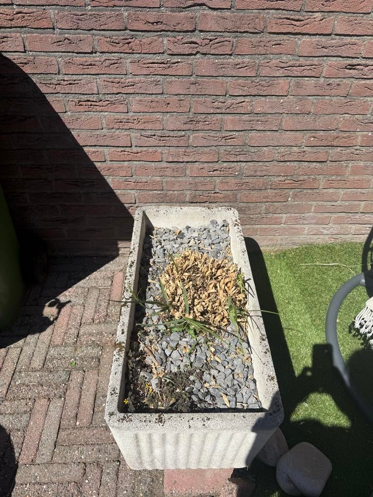 Gratis betonnen plantenbak op te halen, Tuin en Terras, Ophalen, Gebruikt, Balkon, 60 tot 100 cm