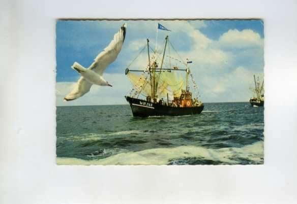 scheepvaart-foto-VISSERIJ-WR 248, Verzamelen, Scheepvaart, Ophalen of Verzenden, Zo goed als nieuw, Boek of Tijdschrift