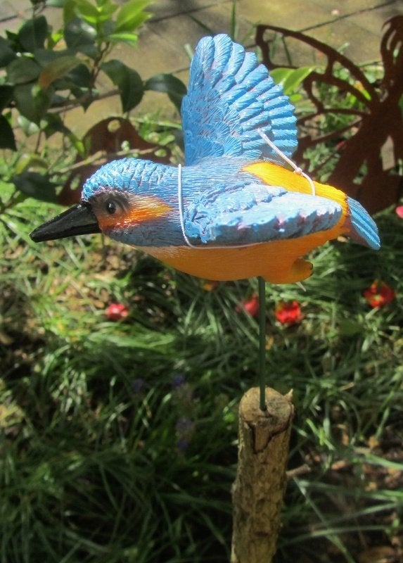 IJSVOGELTJE - THE BEAUTY.....OP STEKERTJE - VLIEGEND, Ophalen of Verzenden, Nieuw