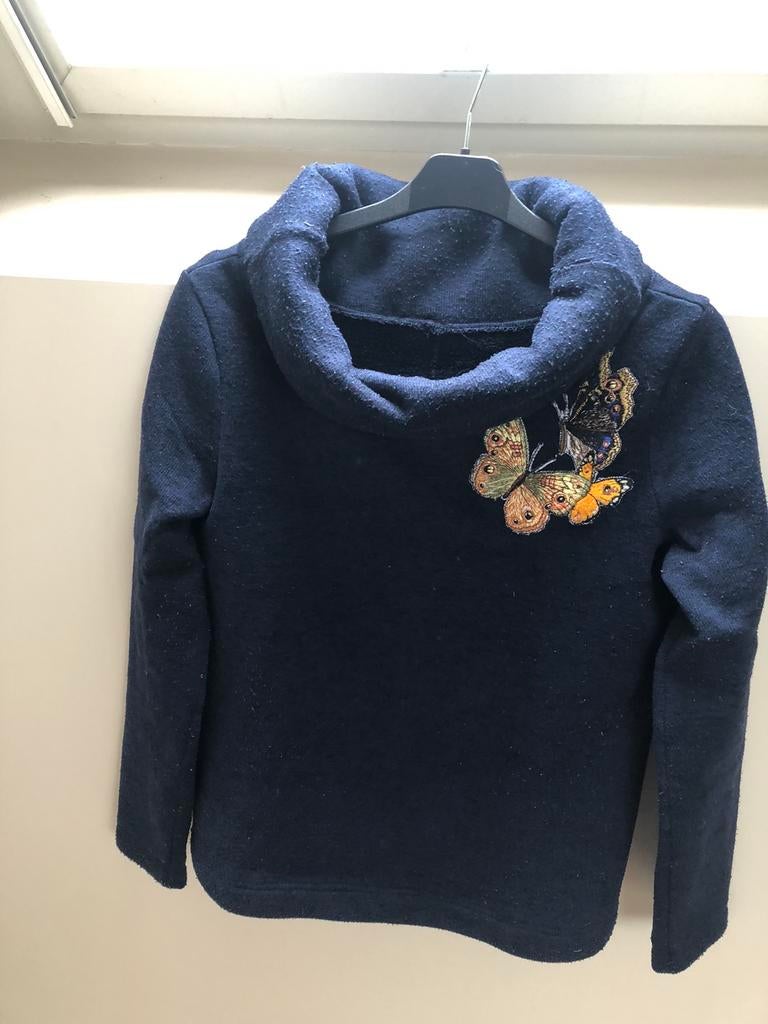 Dames trui., Kleding | Dames, Ophalen of Verzenden, Zo goed als nieuw, Maat 38/40 (M), Blauw