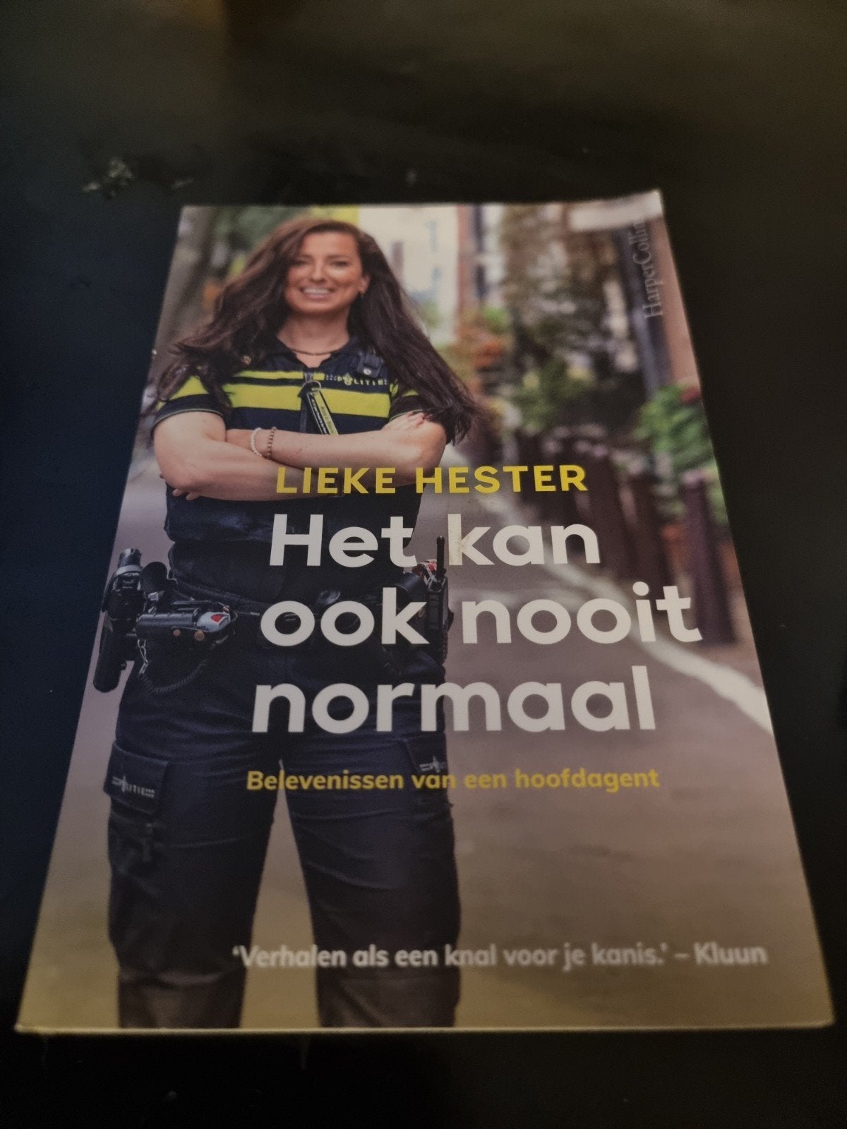 Het kan ook nooit normaal - Lieke Hester, Ophalen of Verzenden