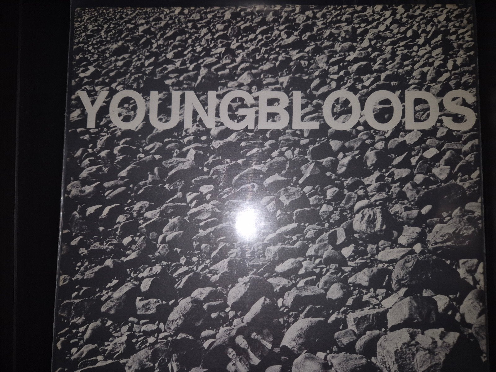 Youngbloods, Verzenden, Gebruikt, 12 inch, Poprock