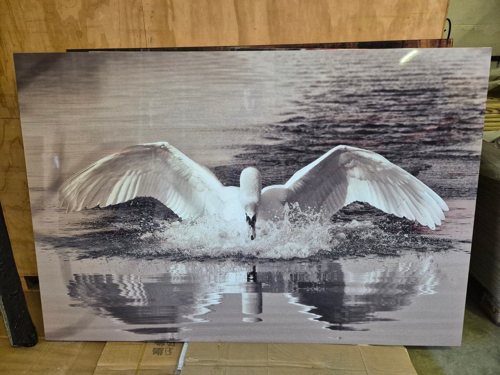 Zwaan landt in water - Zwart-wit schilderij, Antiek en Kunst, Ophalen