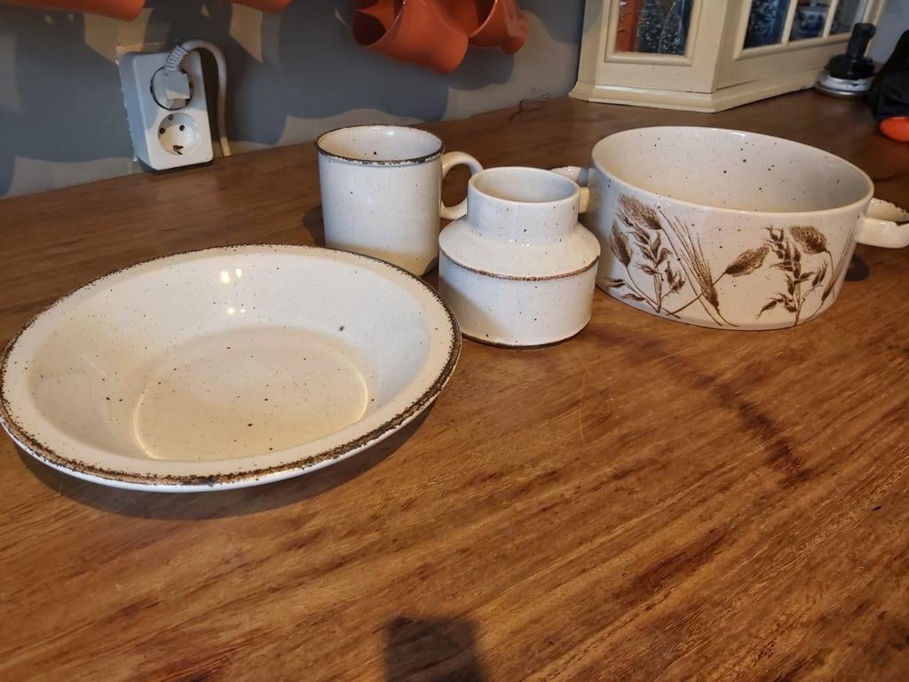 Midwinter Stonehenge servies, Ophalen of Verzenden