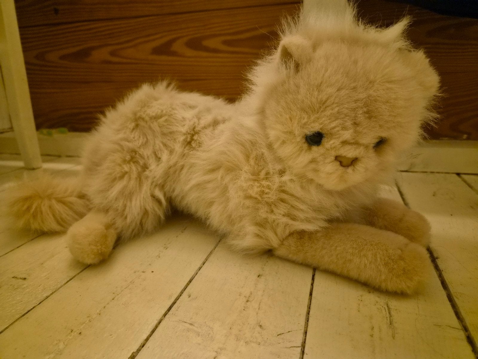 knuffel kat frosh und freunde, Ophalen of Verzenden, Zo goed als nieuw