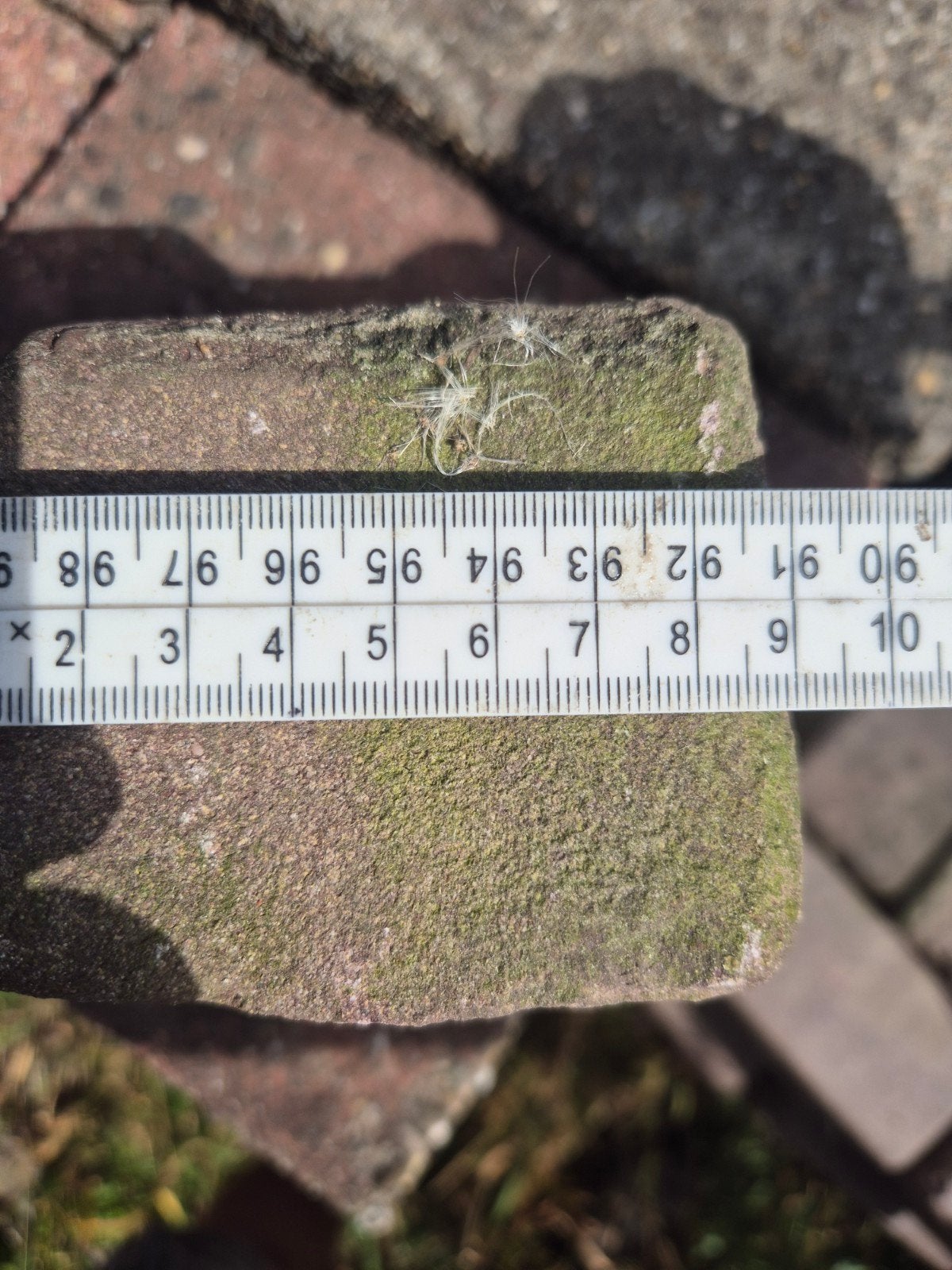 gebakken straatklingkers 6,5m², Ophalen, Klinkers