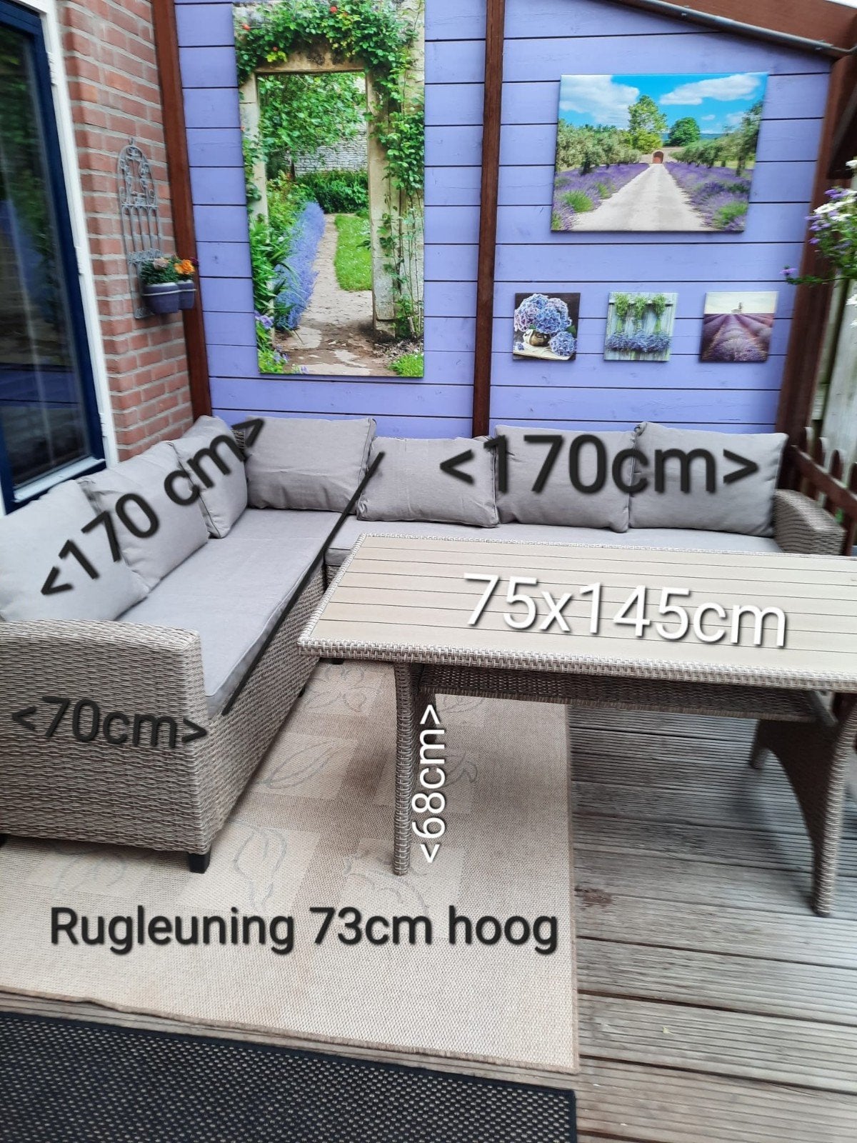 Wicker Loungeset met Tafel - Zo goed als nieuw, Ophalen