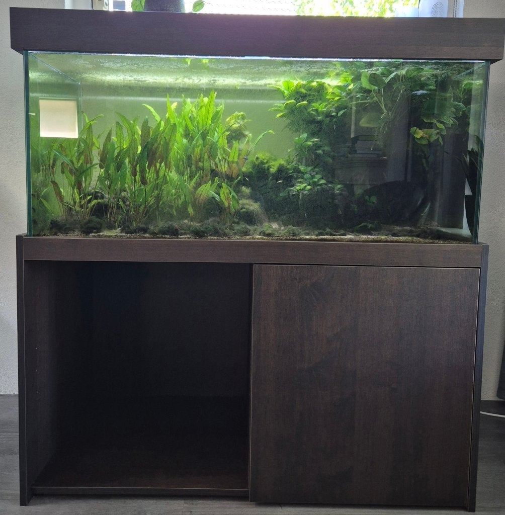 Zoetwater aquarium met kast 120 x 60 x 60, Dieren en Toebehoren, Ophalen, Inclusief deksel, Zo goed als nieuw, Leeg aquarium
