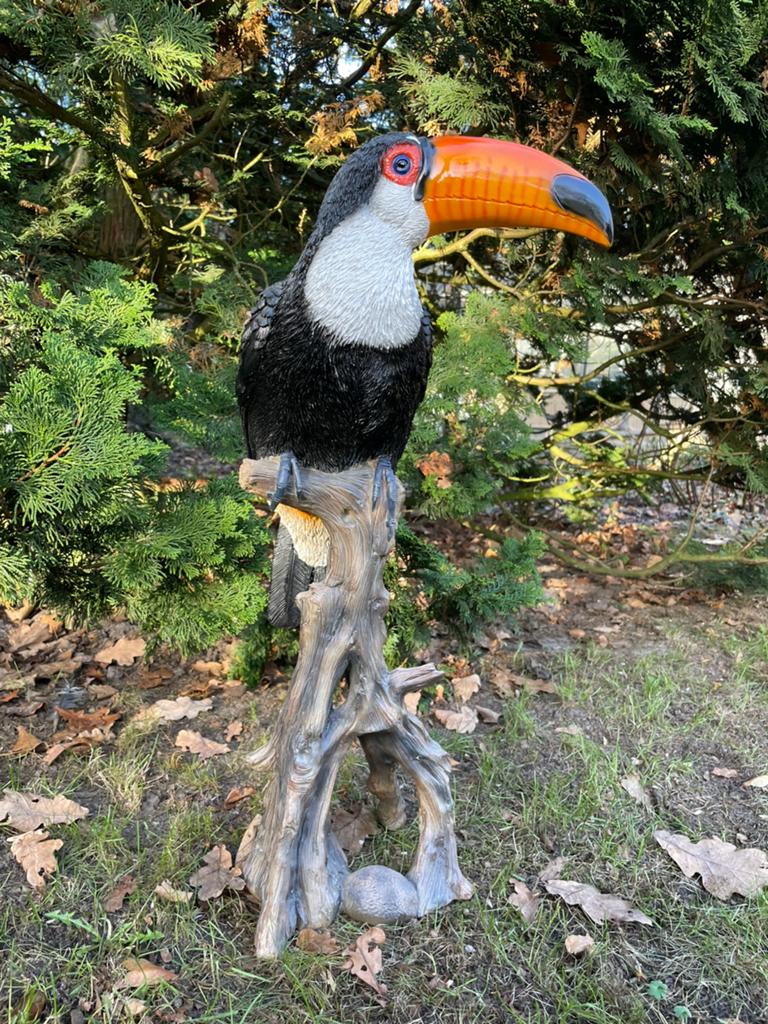 Toekan op boomstronk vogel beeld tuin huis tropen, Ophalen, Kunststof