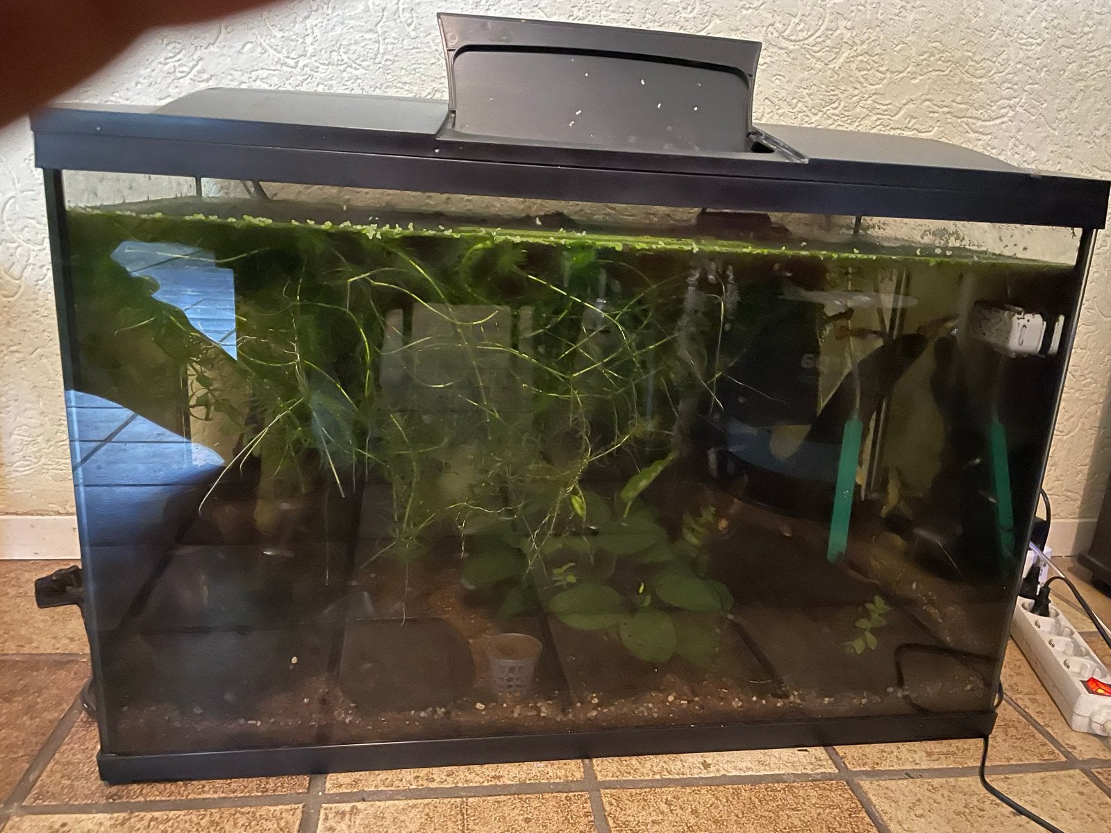 3 complete aquariums, Dieren en Toebehoren, Ophalen, Gevuld zoetwateraquarium