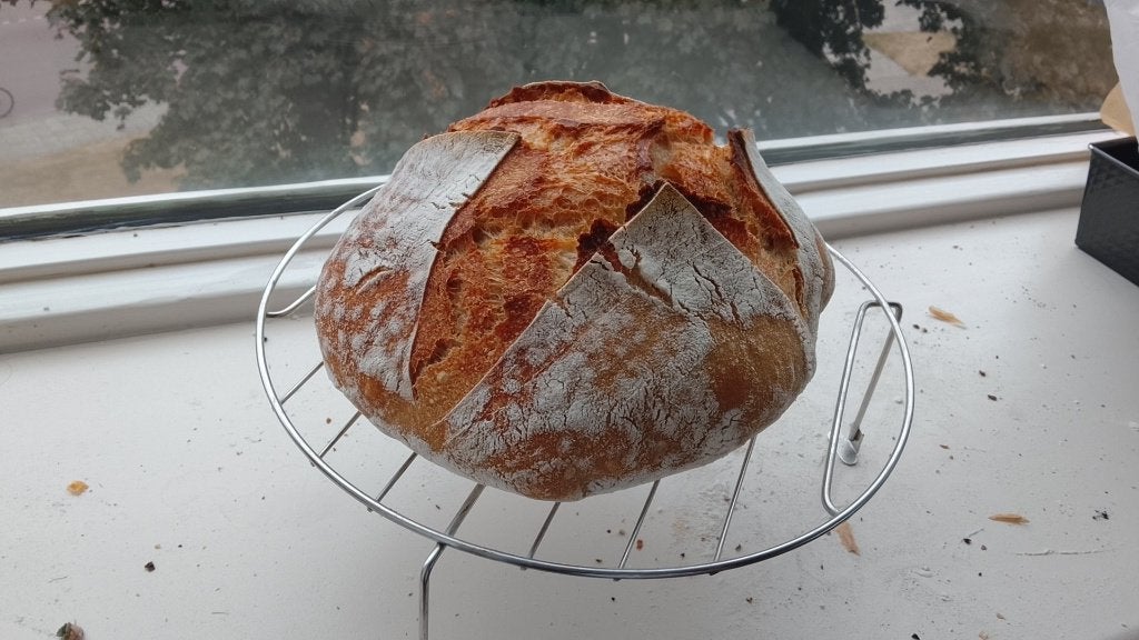 Zuurdesem starter, Diversen, Ophalen