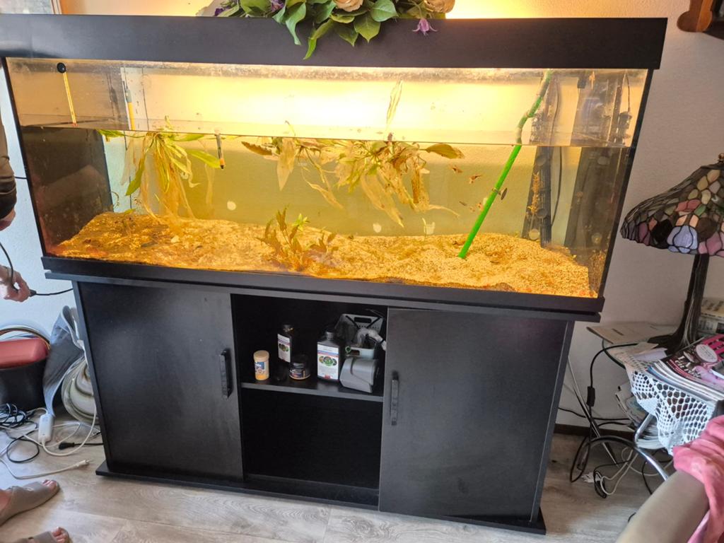 Aquarium, Ophalen, Leeg aquarium