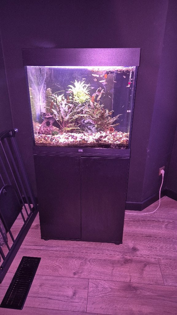 Aquarium, Ophalen, Gebruikt, Inclusief vissen, Gevuld zoetwateraquarium