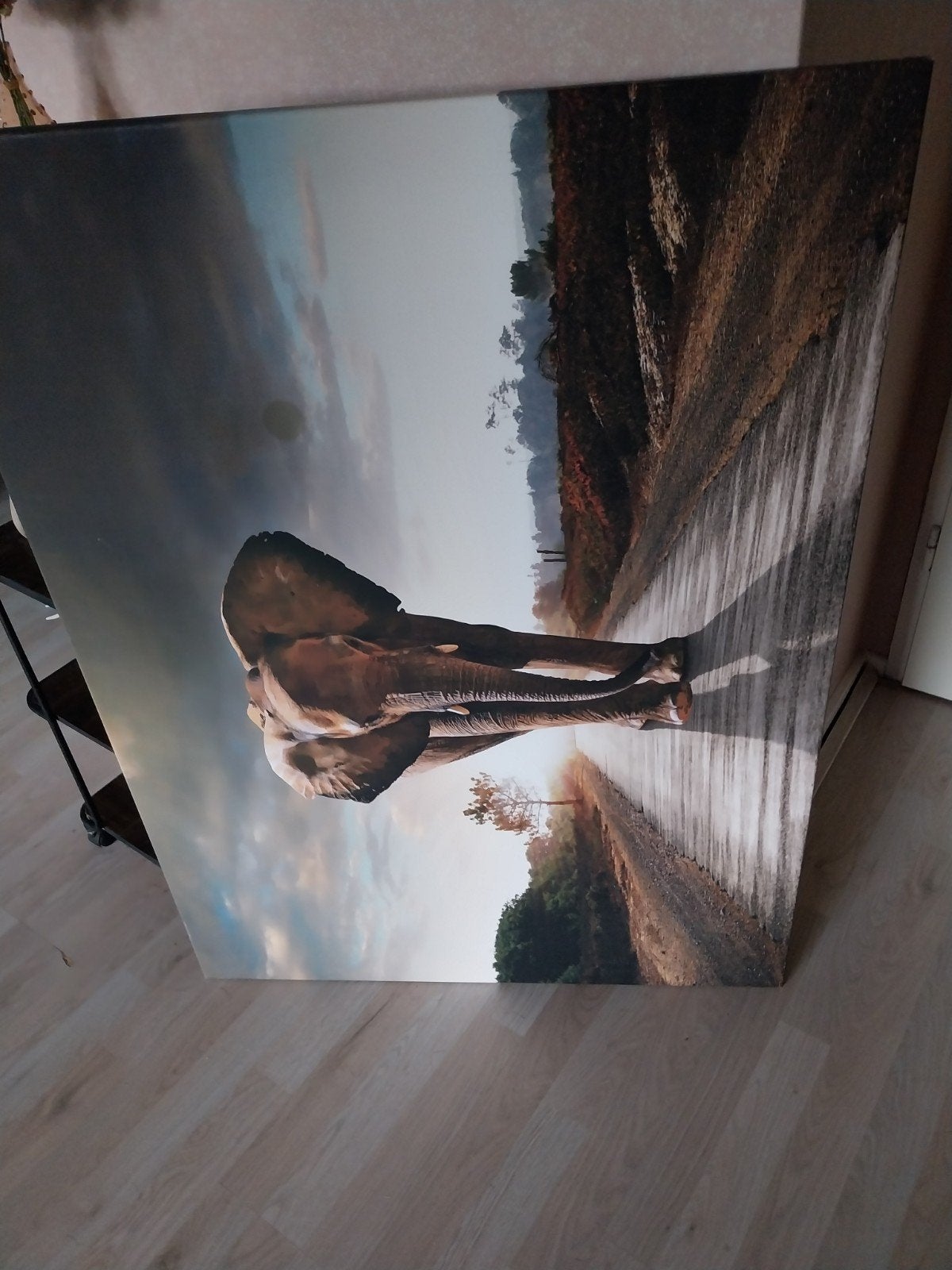 canvas groot olifant, Ophalen, Zo goed als nieuw, 125 cm of meer, Schilderij