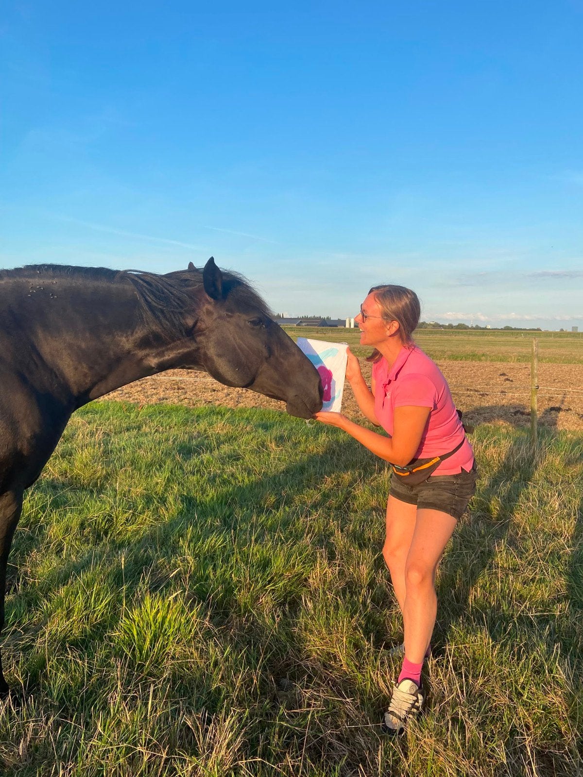 Hulp in de verzorging van onze paarden gezocht: Voorthuizen, Diensten en Vakmensen