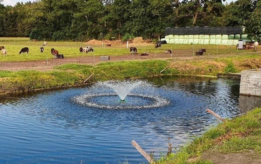 fontein, extra zuurstof help uw vijver gezond te houden, Ophalen of Verzenden, Nieuw, Rvs, Overige typen