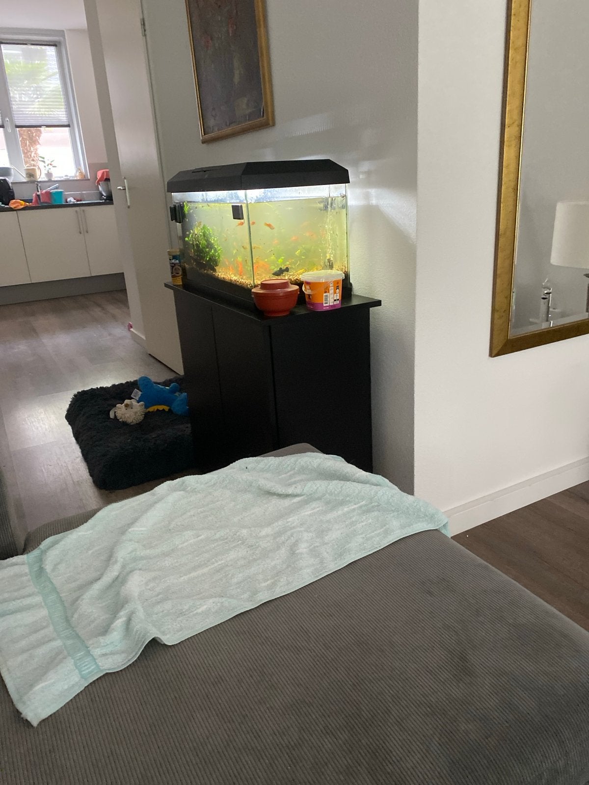 Kompleet  ter overname, Ophalen, Gebruikt, Aquariummeubel, Juwel
