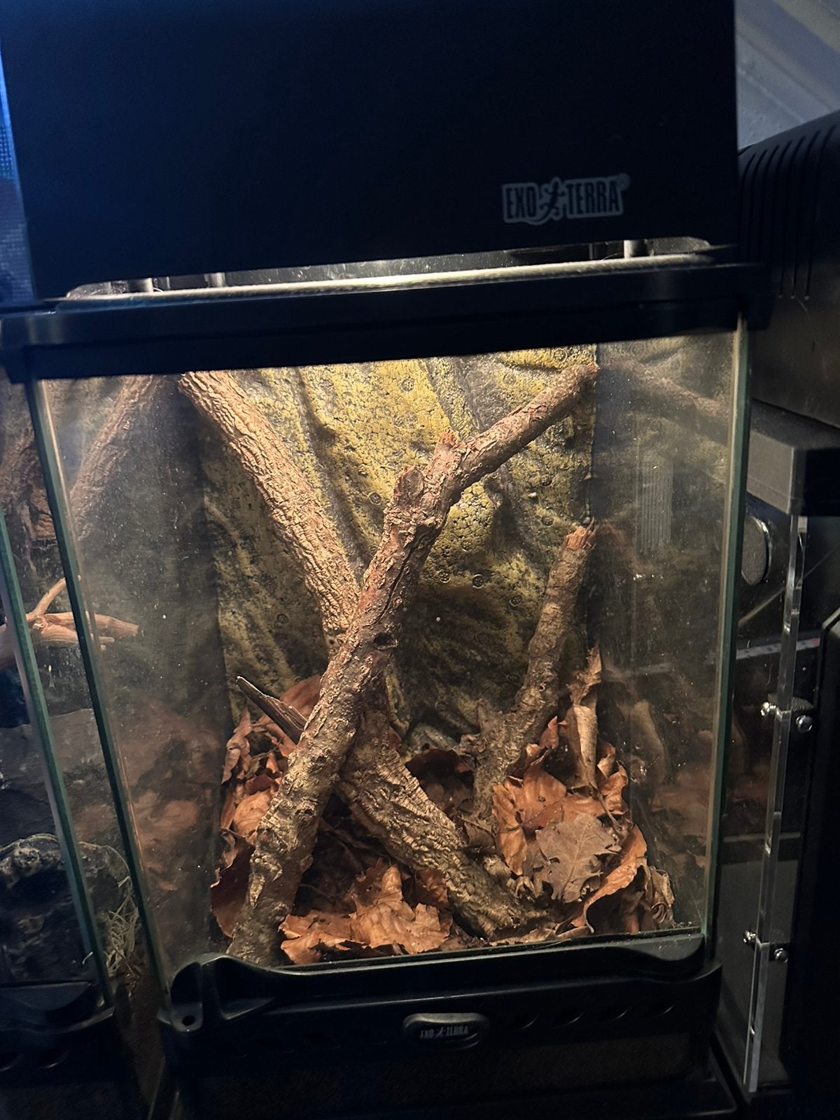 Terrarium Exo Terra 20x20x30, Dieren en Toebehoren, Ophalen, Zo goed als nieuw