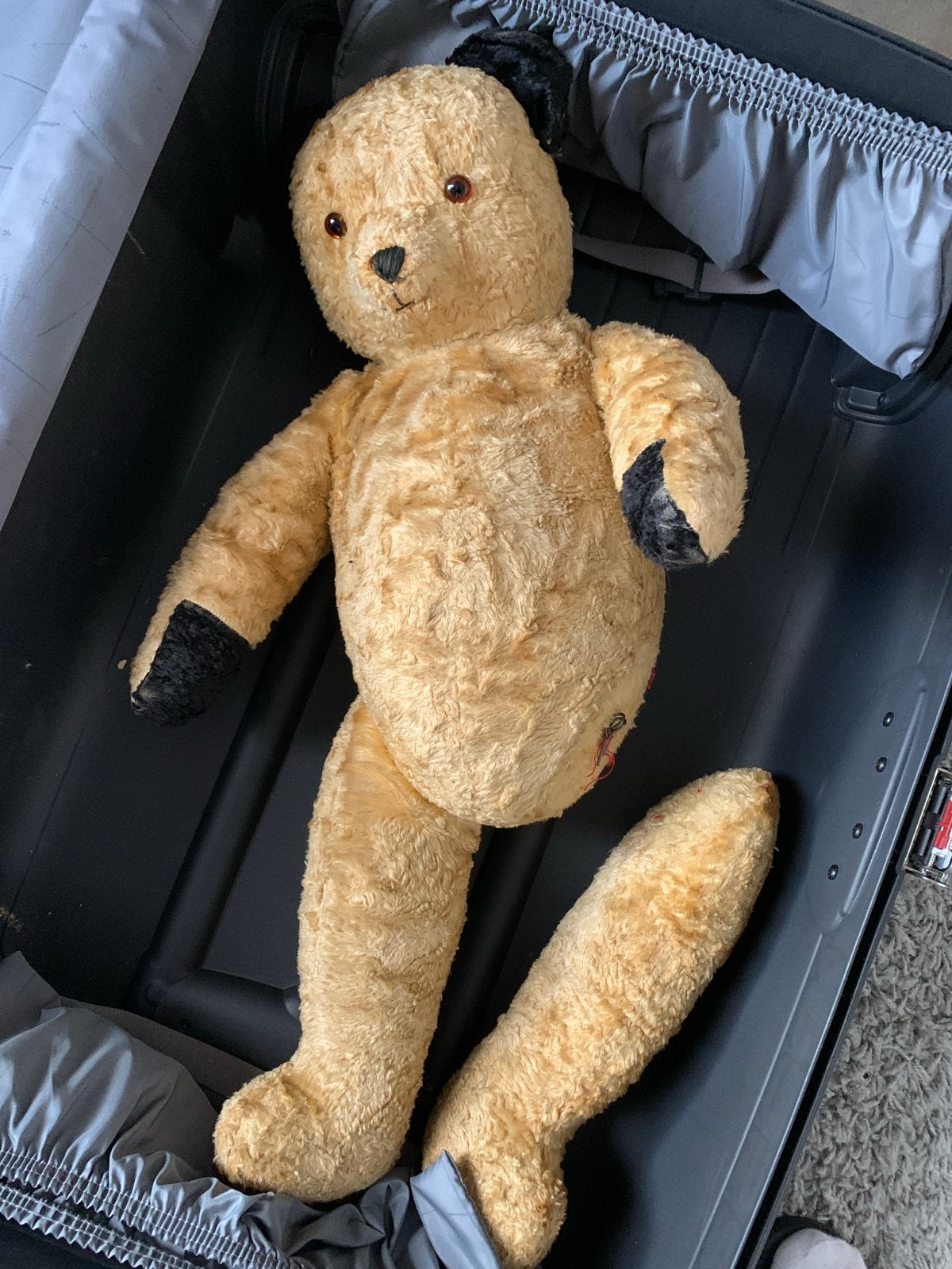 Grote vintage Sooty (?) beer knuffel, Gebruikt, Overige merken, Overige karakters, Beer