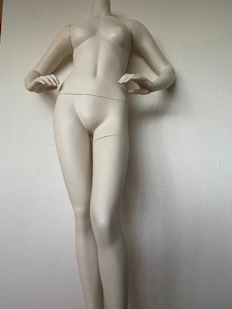Goedkope Paspop 160x35cm Zonder Voet voor Winkel of Vinted, Ophalen, Eu, Gebruikt, Eu