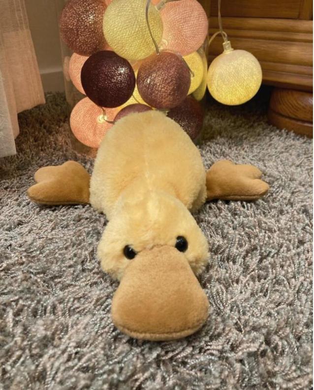 Zachte lieve knuffel - eend, Geel, Ophalen of Verzenden, Zo goed als nieuw, Middelgroot (20 tot 80 cm)