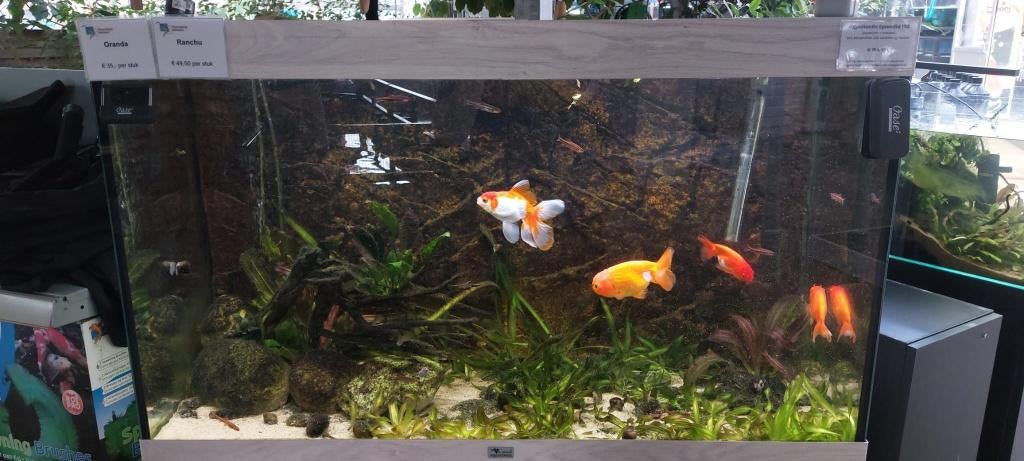Compleet aquarium met vissen en planten, Ophalen, Aquatlantis, Nieuw, Inclusief toebehoren