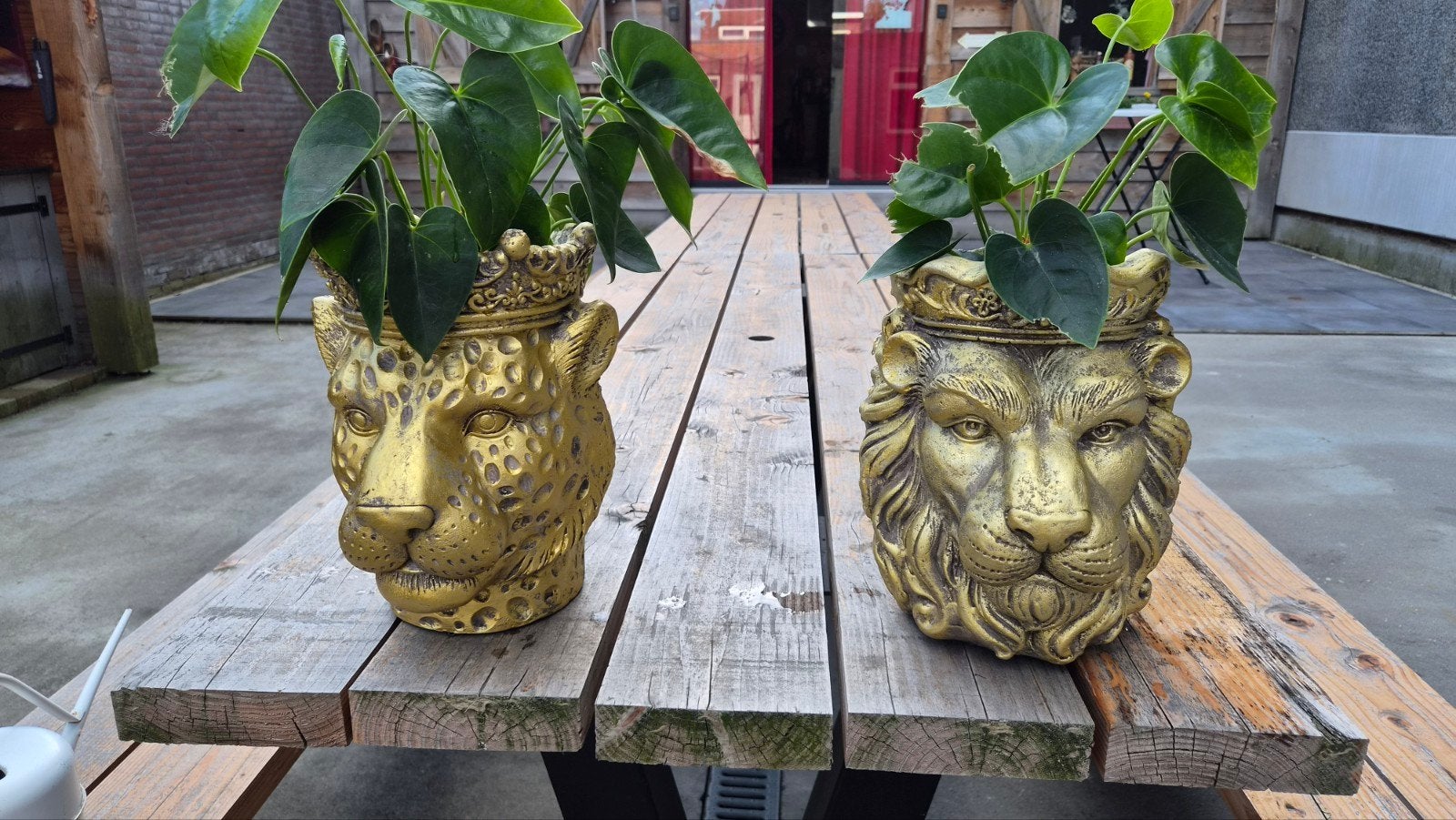 Vaas ( dierenkop ), Ophalen, Overige kleuren, Minder dan 50 cm, Glas