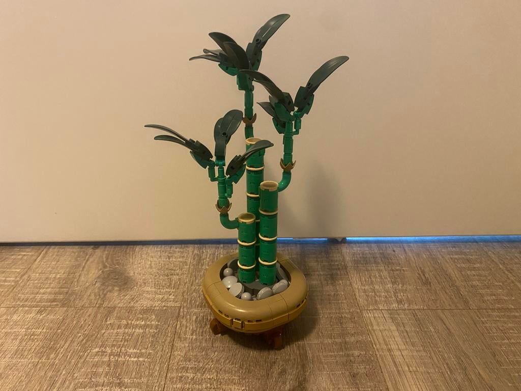 Lego Icons: Lucky Bamboo, Lego, Ophalen of Verzenden, Zo goed als nieuw, Compleet