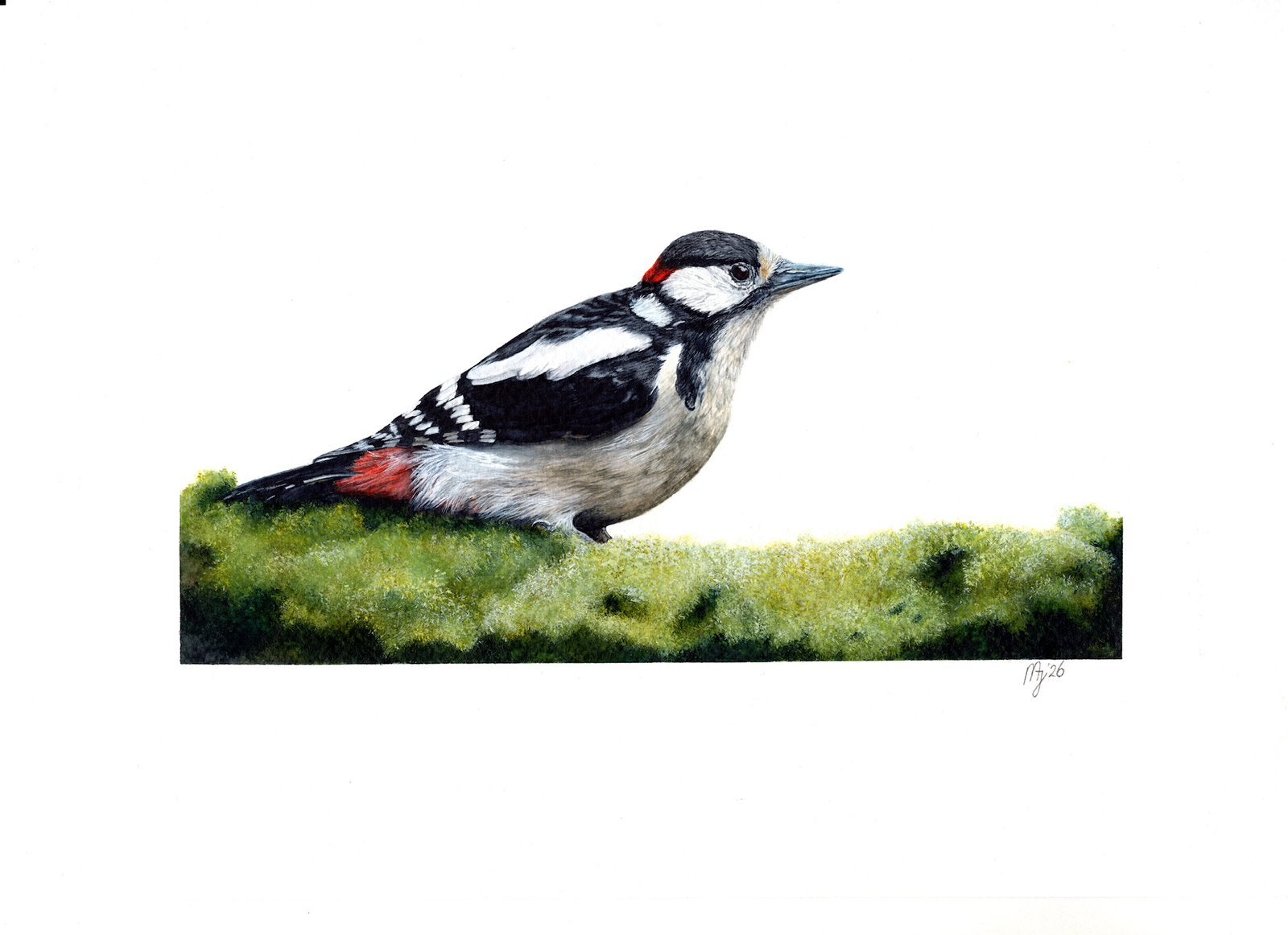 Aquarel Grote Bonte Specht - Uniek Kunstwerk A4, Aquarel, Papier/karton, Ophalen of Verzenden, Dieren