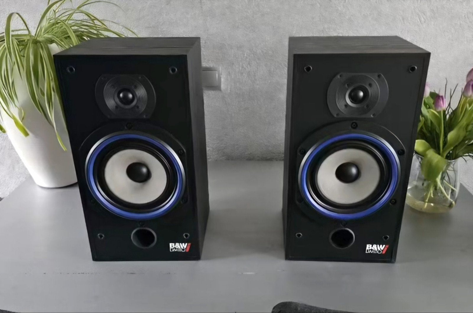 Een set B&W dm110i's in prachtige staat.