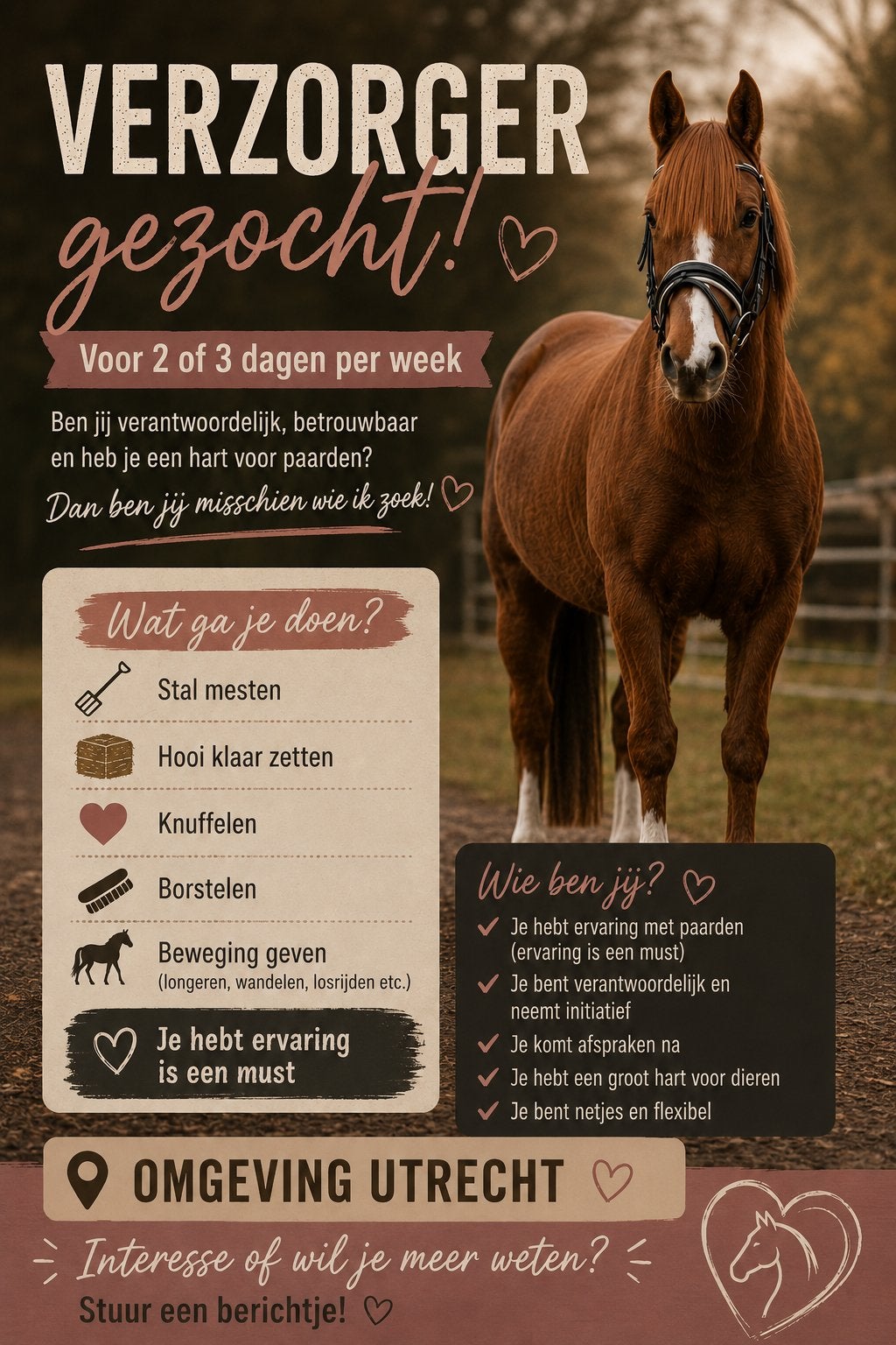 Verzoger gezocht, Ophalen of Verzenden, Zo goed als nieuw