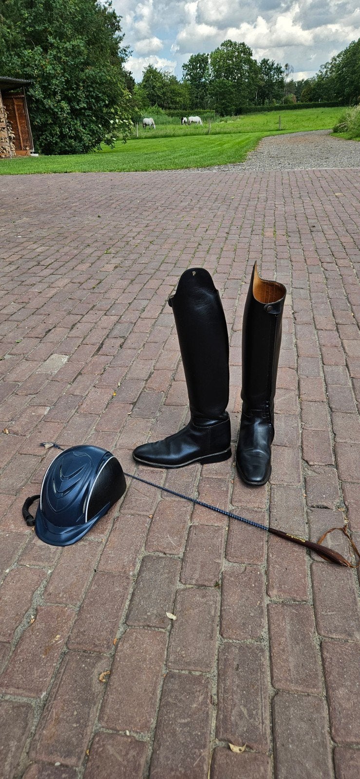 Paardrijlaarzen Petrie mt 45 z.g.a.n., Ophalen of Verzenden, Zo goed als nieuw, Dressuur, Schoeisel