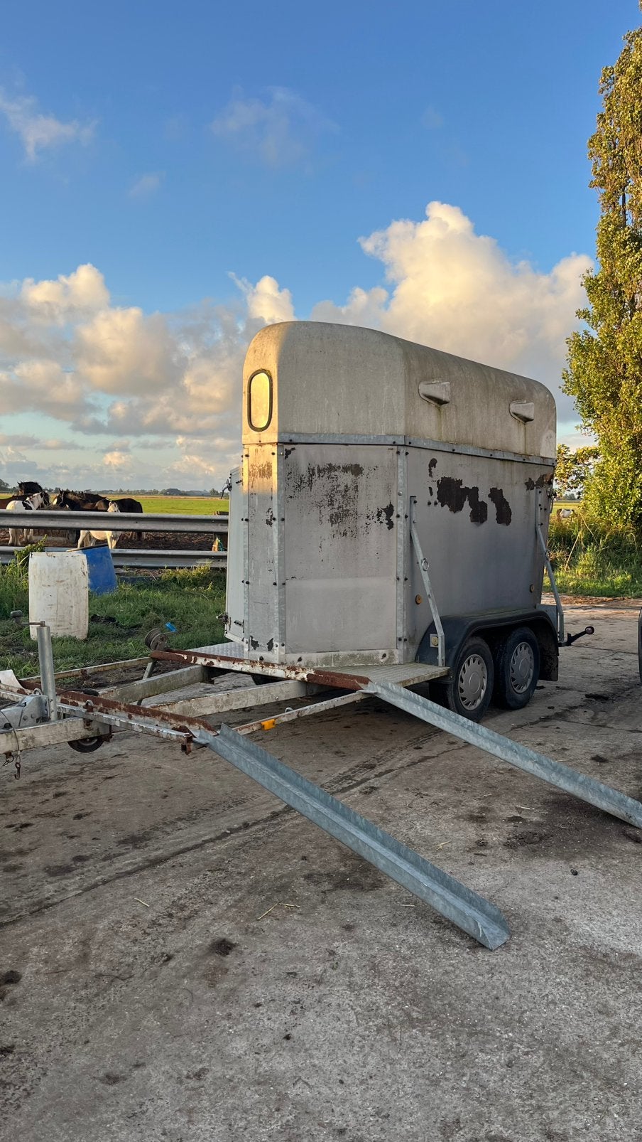 Mentrailer voor ponys te koop, Ophalen, Gebruikt