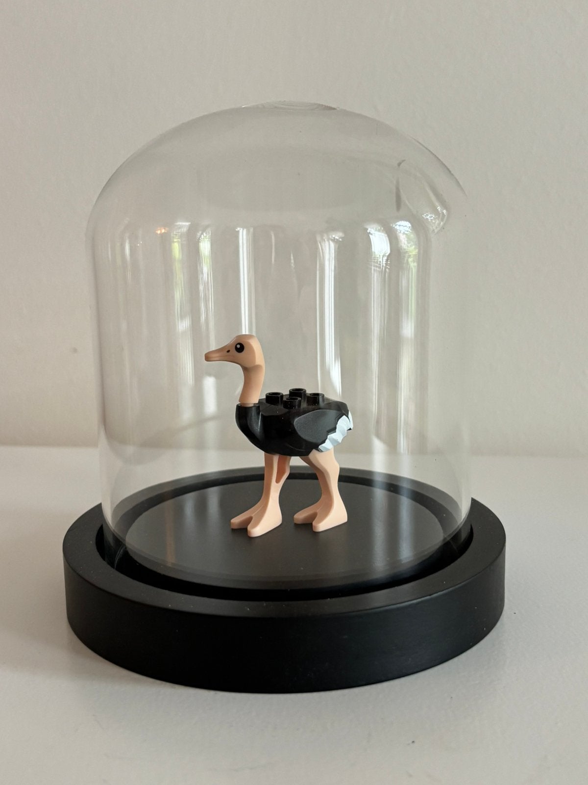 Lego struisvogel in glazen stolp, Glas, Ophalen of Verzenden, Nieuw