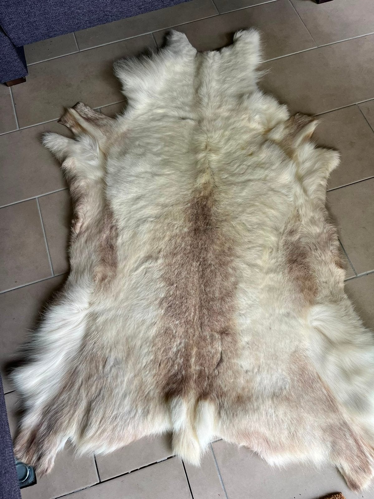 Echt rendierhuid vloerkleed!, 100 tot 150 cm, Ophalen of Verzenden, Zo goed als nieuw, 150 tot 200 cm