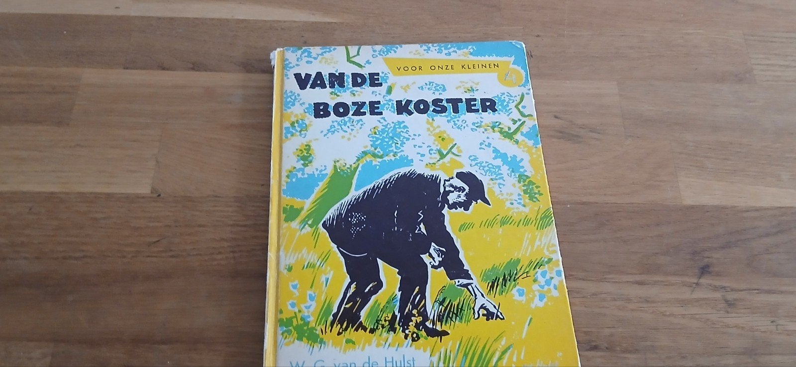 boekje wg van hulst van de boze koster, Ophalen of Verzenden, Gelezen, 3 tot 4 jaar