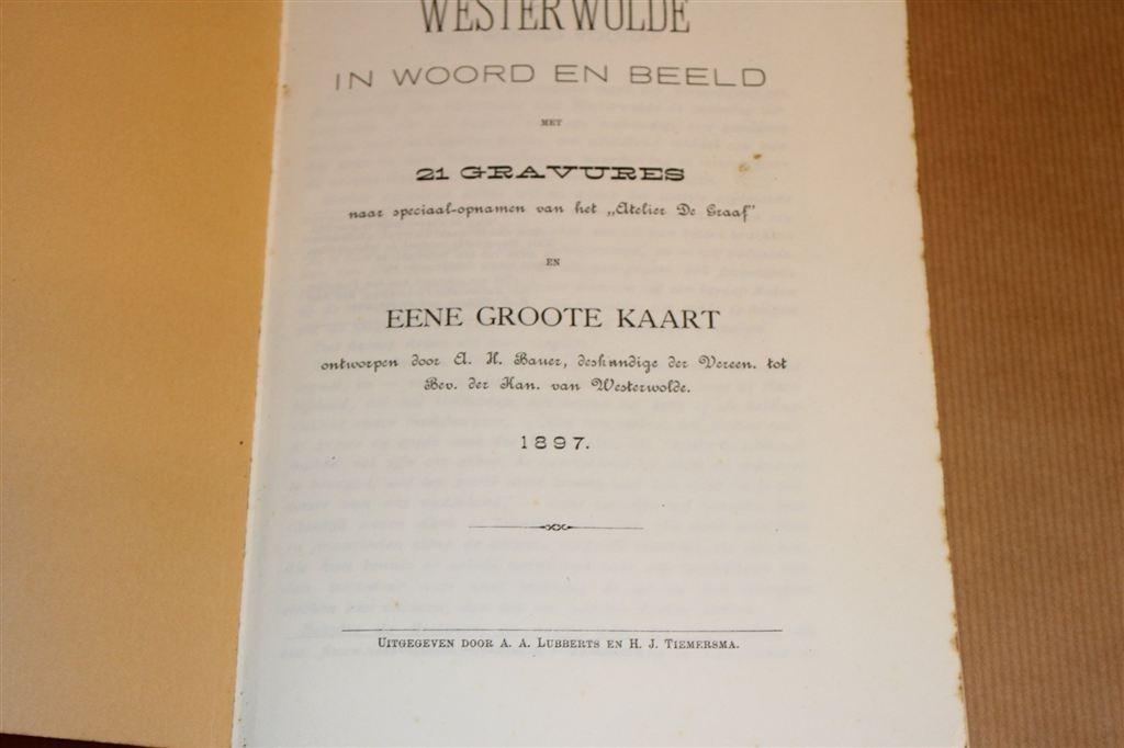 Westerwolde in Woord & Beeld 1897 — Antieke Gravures + Kaart, Ophalen of Verzenden, Gelezen