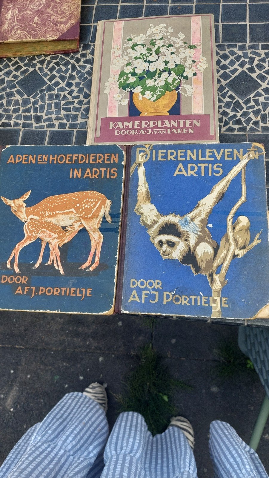 Vintage boeken: Apen en Hoefdieren in Artis & Dierenleven, Boeken, Ophalen of Verzenden, Gelezen, Natuur algemeen