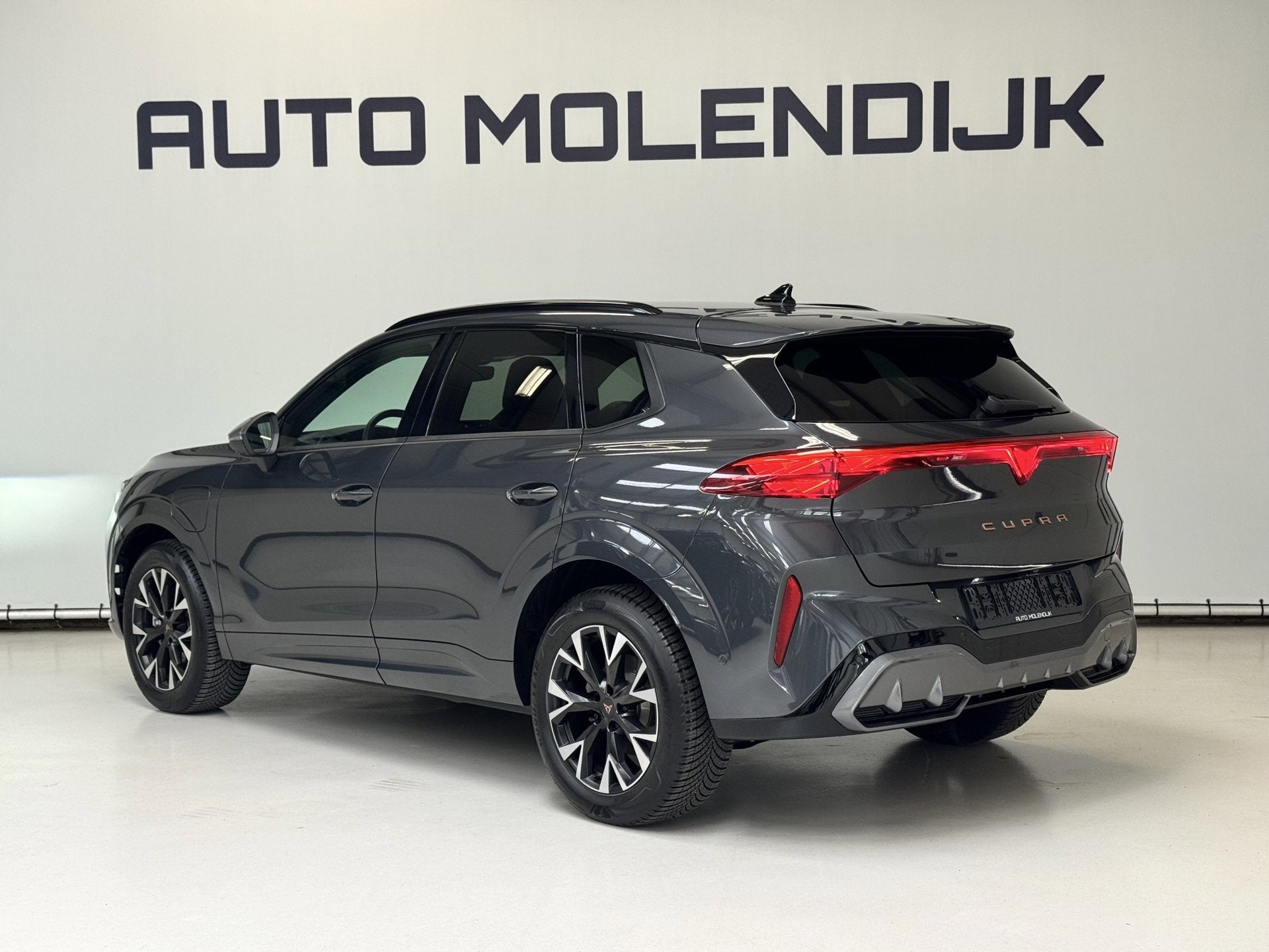 CUPRA Terramar 1.5 TSI e-Hybrid HuD / el klep / 360 cam / SO, Auto's, Dealer onderhouden, 1798 kg, 4 cilinders, Alcantara