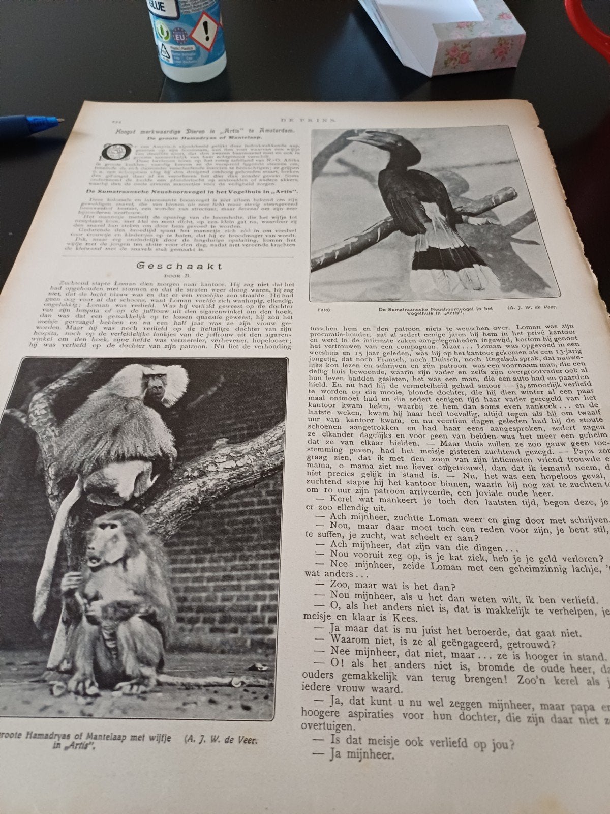 knipsel merkwaardige dieren dierentuin Artis Amsterdam 1915, Ophalen of Verzenden, Gebruikt, Beeldje of Figuurtje