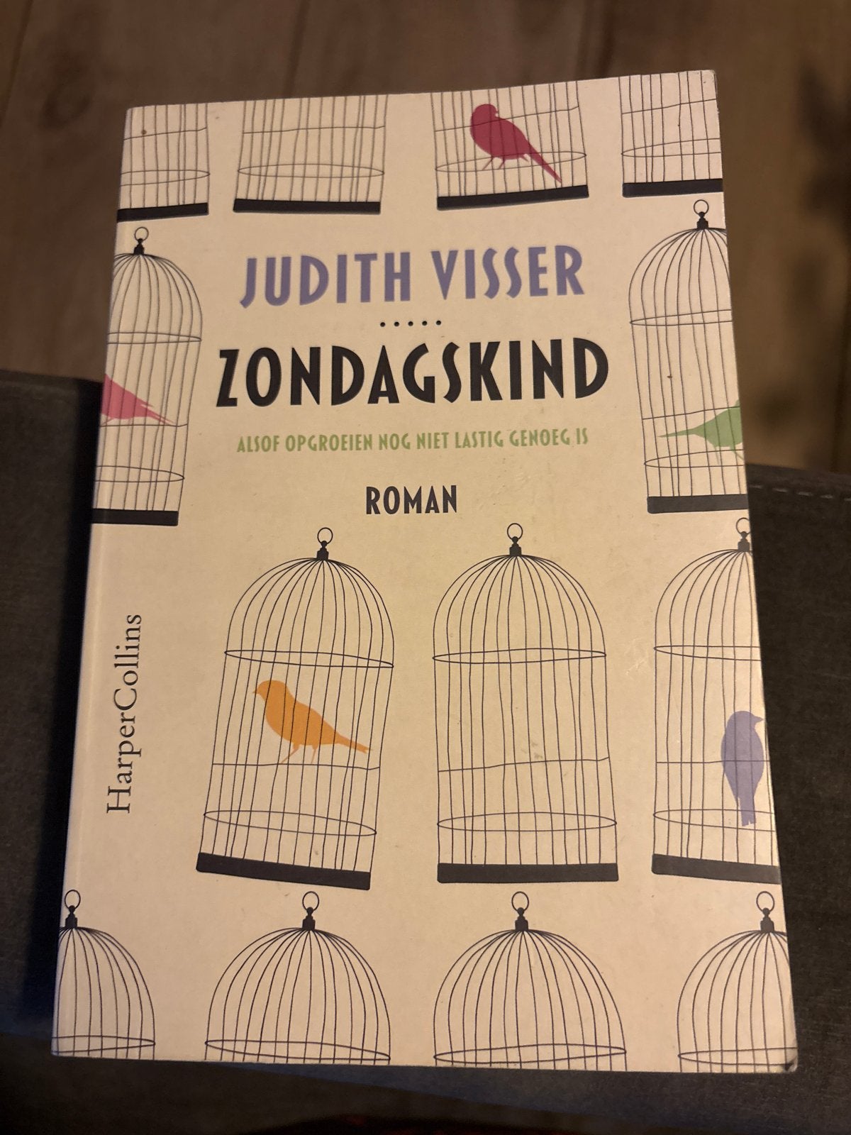 Judith Visser - Zondagskind, Judith Visser, Ophalen of Verzenden, Zo goed als nieuw, Nederland