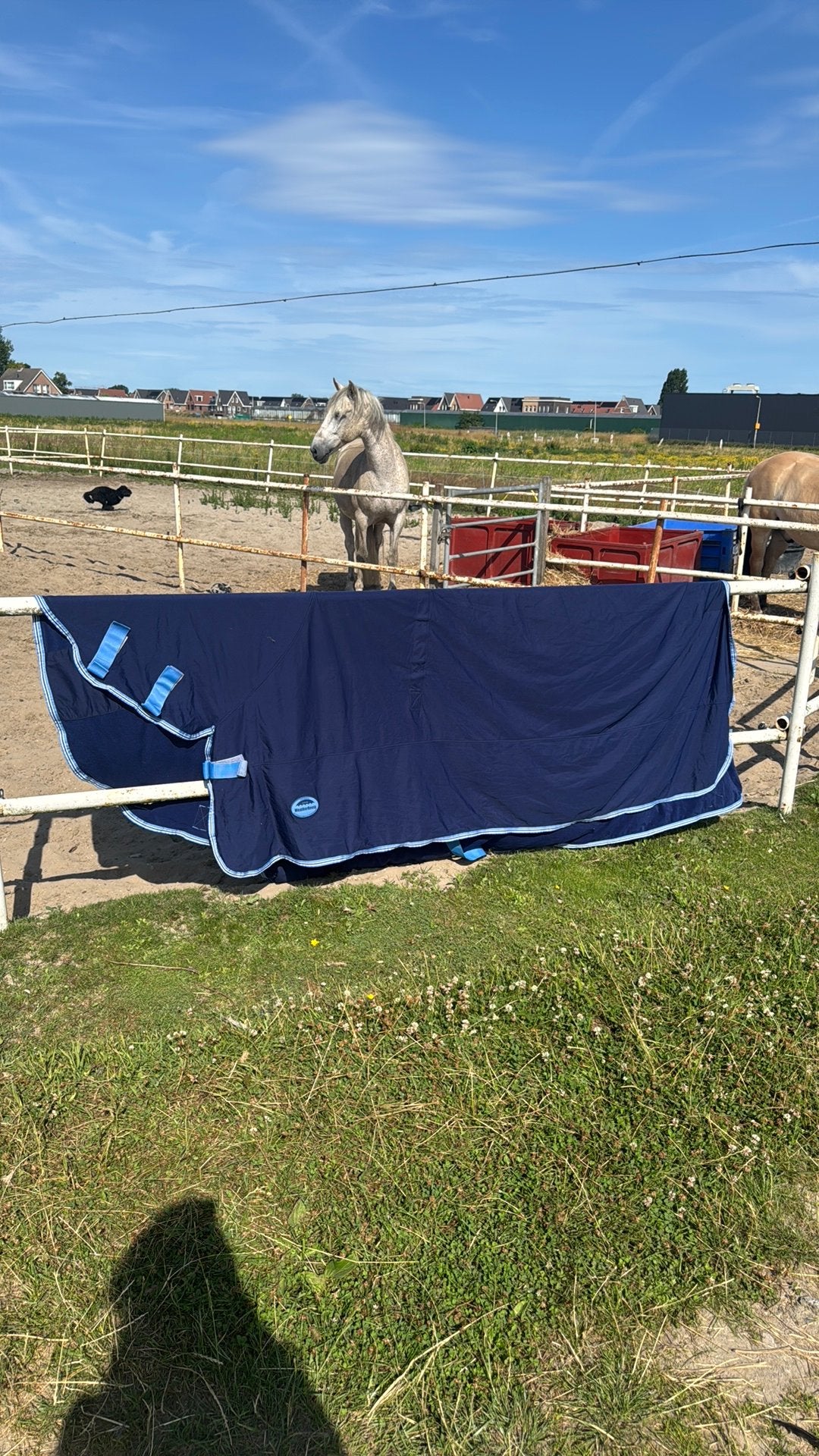 Weather beeta cool deken met hals, Dieren en Toebehoren, Overige merken, Overige typen, Extra Full (XL), Ophalen of Verzenden