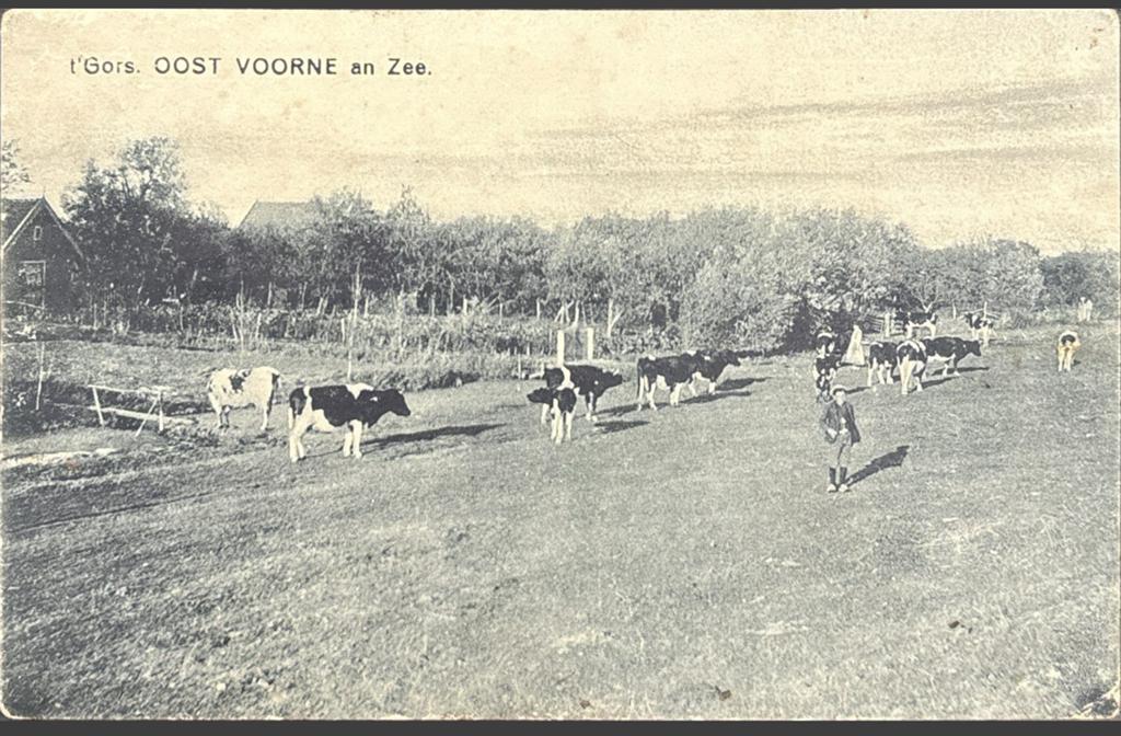 ‘T Gors Oostvoorne aan Zee, Ophalen of Verzenden, 1920 tot 1940, Ongelopen, Zuid-Holland
