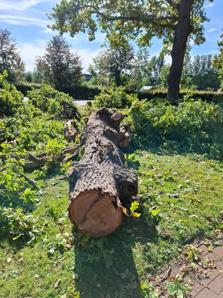 Snoei/kap werkzaamheden aangeboden, Tuin en Terras, Haardhout, Ophalen, Takken