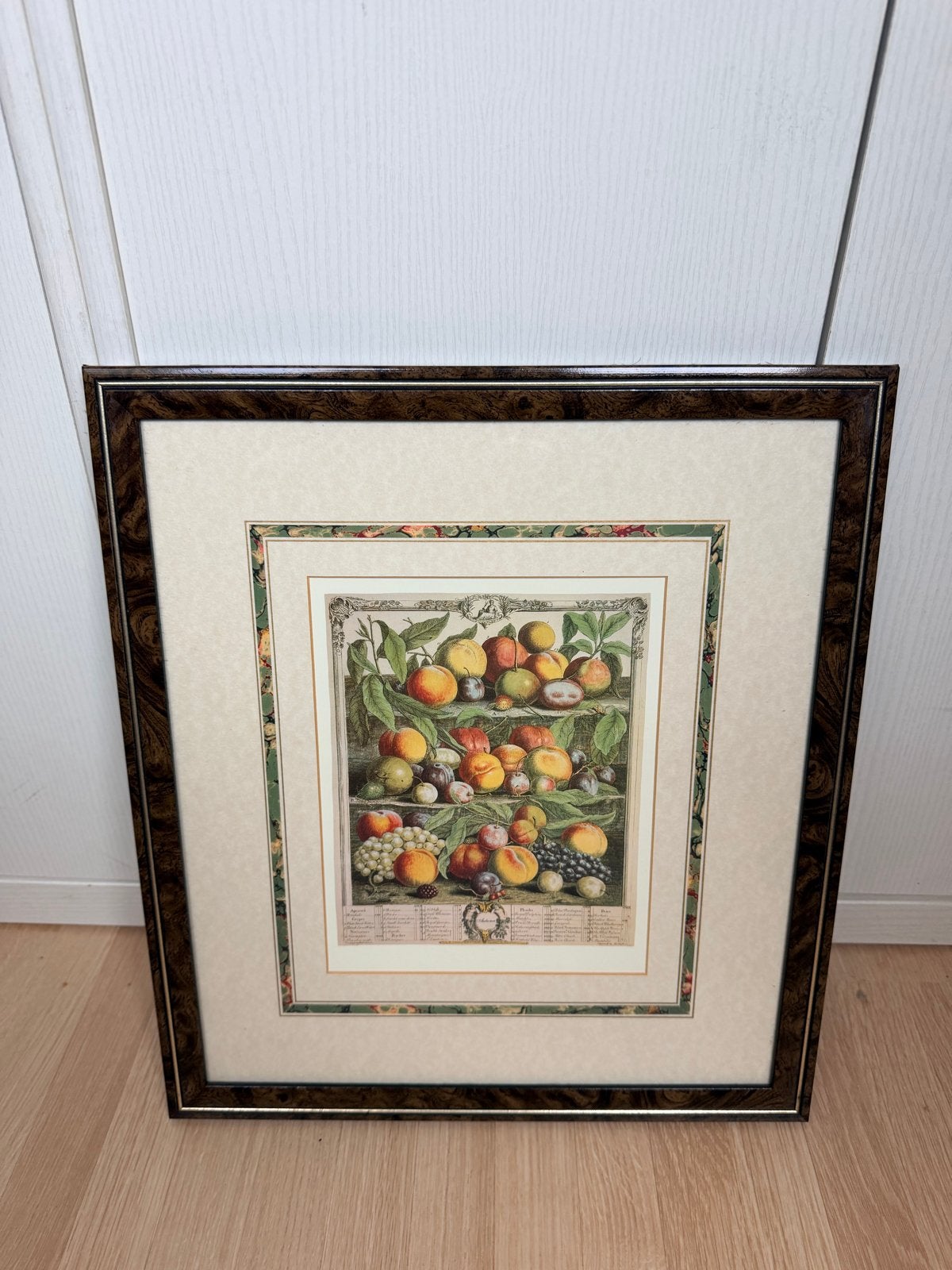 Ingelijste botanische print van fruit, Antiek en Kunst, Kunst | Schilderijen | Klassiek, Ophalen, Stilleven, Klassiek, Print