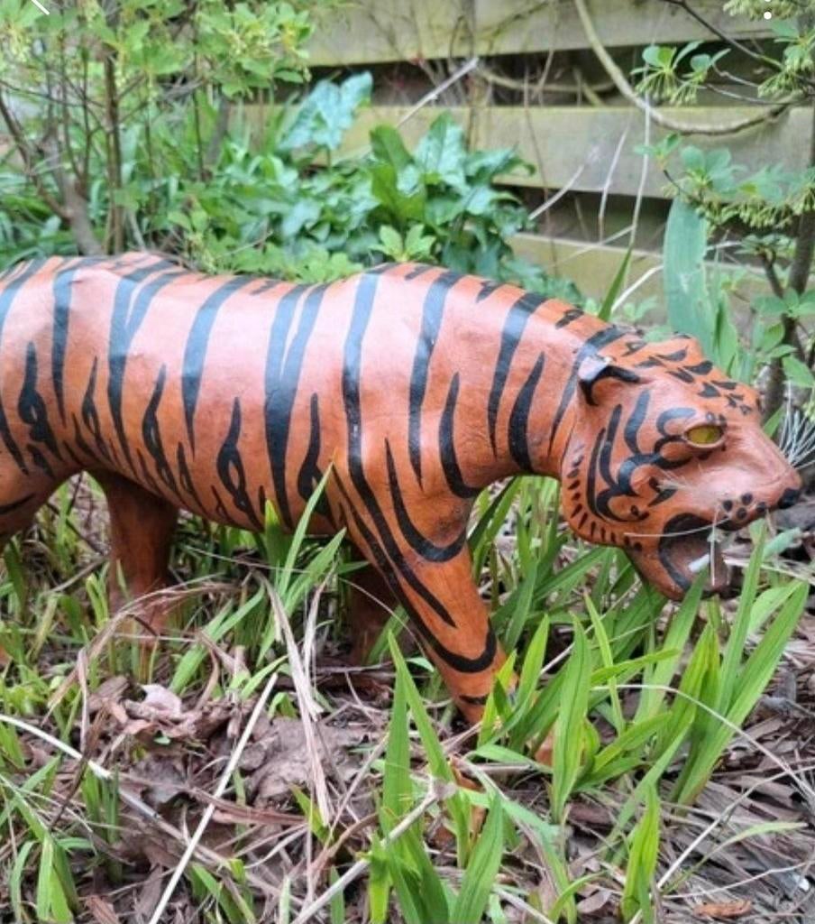 Tijger leer, Ophalen of Verzenden